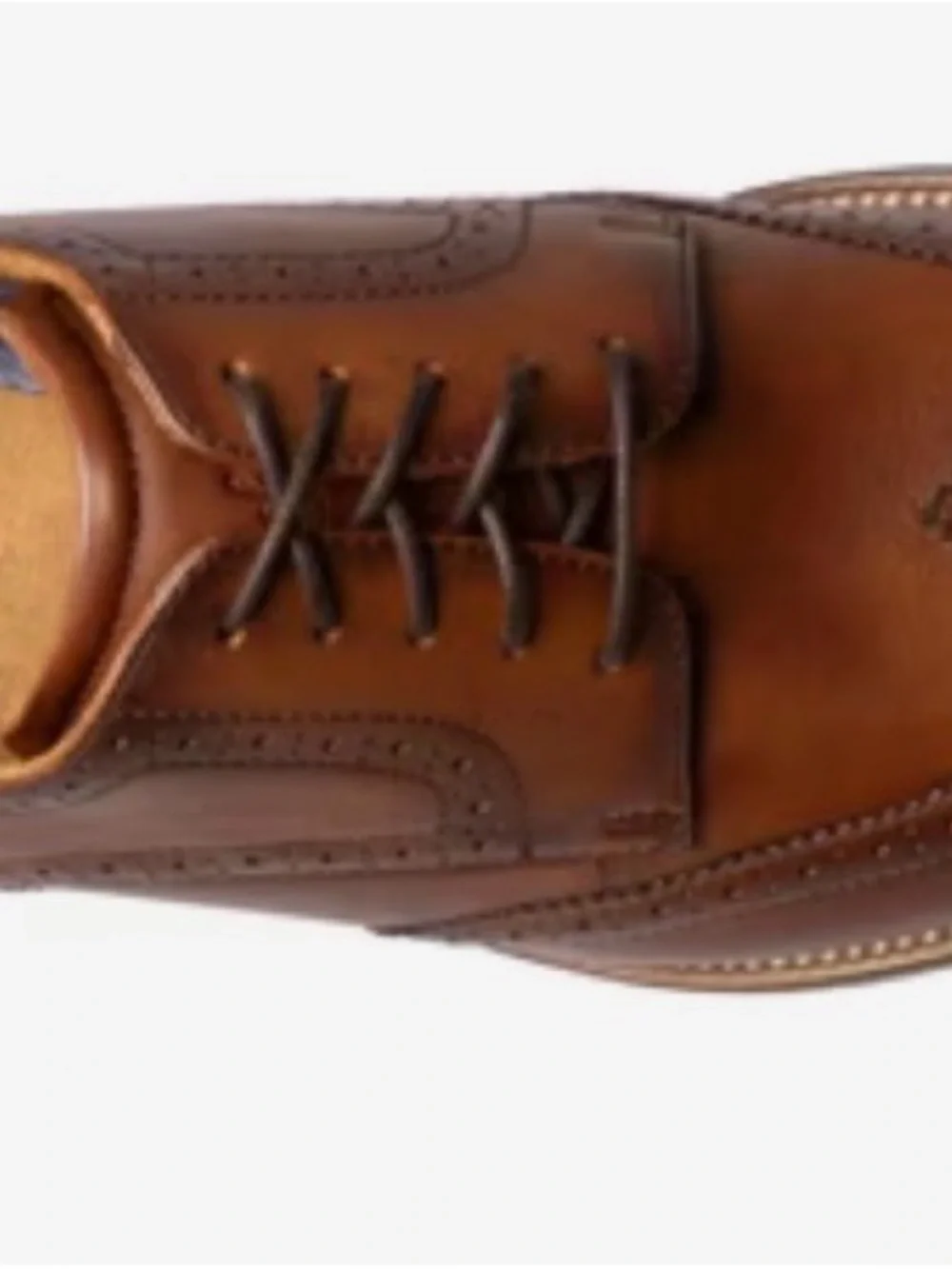 Florsheim Brown Leather Wingtip Derby